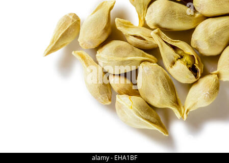 Macro of orange's seeds isolated on white background Stock Photo