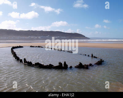 Shifting sands of Westward Ho! beach reveal the remains of a wooden ship, Thought to be the wreck of  17th century vessel, Devon Stock Photo