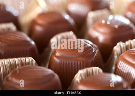 Closeup chocolates placed in plastic holder Stock Photo