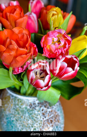 Red tulips arranged in a vase pottery in natural light Stock Photo