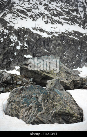 Lichen-covered boulders in snow, Ecrins National Park, French Alps. Stock Photo