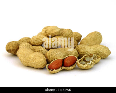 Erdnüsse / peanuts Stock Photo