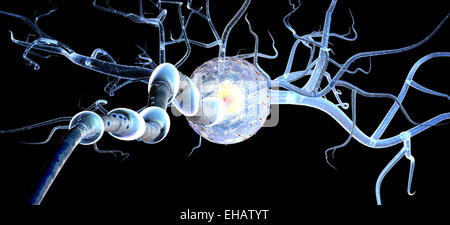 Nerve cells, concept for Neurologic Diseases, tumors and brain surgery. Stock Photo