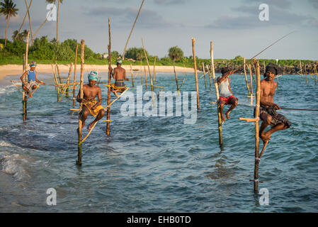 Traditional stilt fishermen, Kogalla, Sri Lanka Stock Photo - Alamy