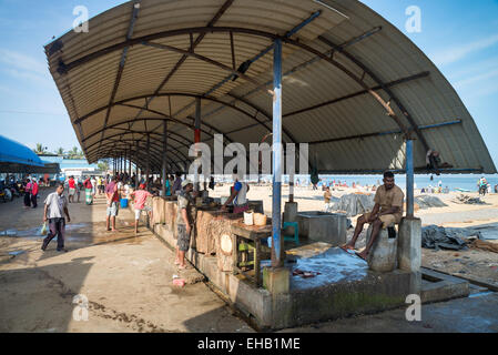 Asia, Sri Lanka Negombo, People at fish market morning Stock Photo