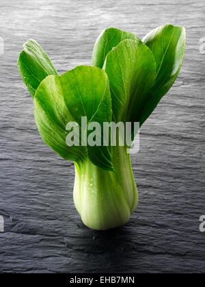 Whole fresh Pak Choi cabbage on a black background Stock Photo