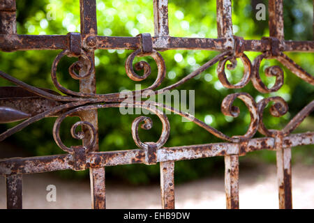 Focus on an old rusty gate in a park Stock Photo
