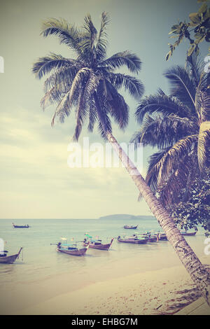 Vintage toned palm trees on a beach, summer background.