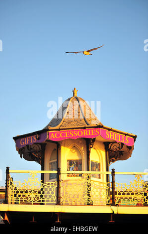 A seagull flies over a tourist gift shop on Brighton pier. Stock Photo