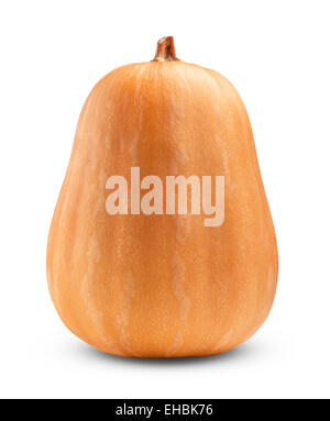 Whole fresh orange big pumpkin on white background close up Organic