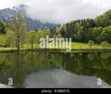 Springtime at Sommersberger See, Ausseerland, Salzkammergut, Austria Stock Photo