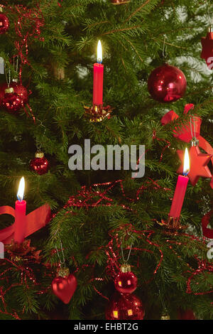 Candle on the Christmas tree Stock Photo