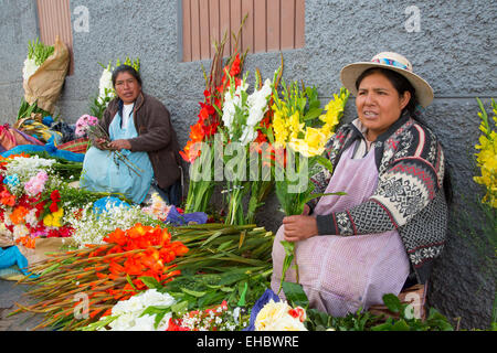 Quechua woman, selling flowers, San Pedro Market, Cusco, Urubamba Province, Peru Stock Photo