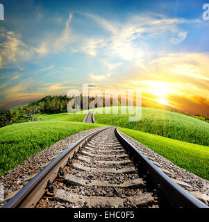 Railroad through the green field and forest Stock Photo