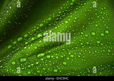 Water droplets on a green canvas background Stock Photo