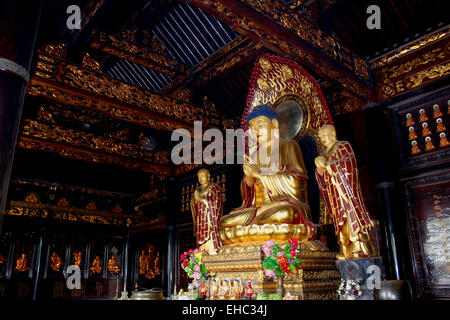 Photograph of a golden Buddha surrounded by hundred small Buddhas in the temple of Big Wild Goose Pagoda, Xi'an. Stock Photo