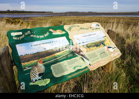 Information Board, Tyne Estuary, Nera Dunbar Stock Photo