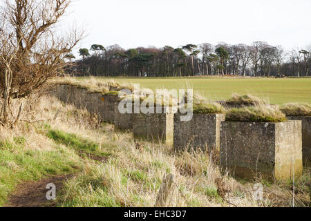 Tank Traps, Belhaven Bay, Dunbar Stock Photo