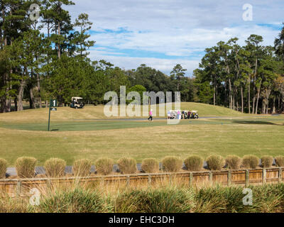 TCP Sawgrass, Florida, USA Stock Photo