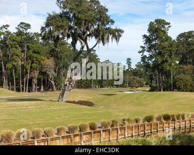 TCP Sawgrass, Florida, USA Stock Photo