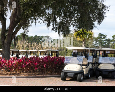 TCP Sawgrass, Florida, USA Stock Photo