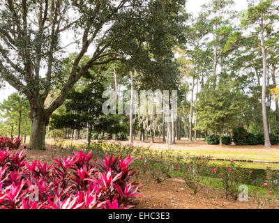 TCP Sawgrass, Florida, USA Stock Photo