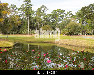 TCP Sawgrass, Florida, USA Stock Photo