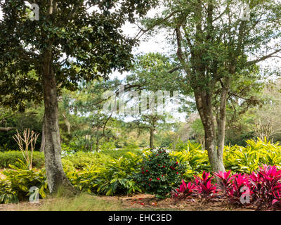 TCP Sawgrass, Florida, USA Stock Photo