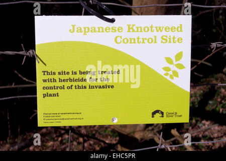 Japanese Knotweed Control Site Warning Sign, UK Stock Photo