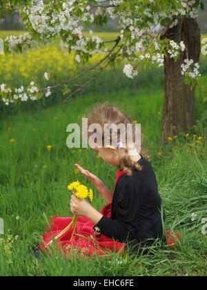 Outdoor little girl with bouquet of dandelions Stock Photo