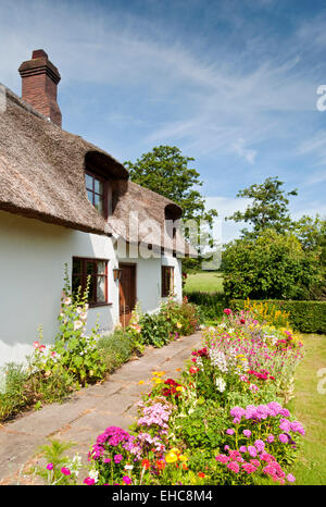 Kidbrook Cottage in Summer, Comerbach, Cheshire, England, UK Stock Photo