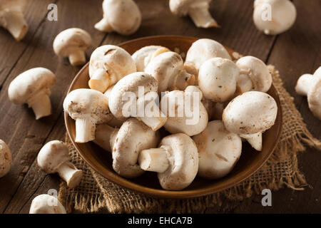 Raw Organic White Mushrooms Ready to Cook With Stock Photo