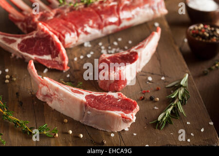 Organic Raw Lamb Chops with Herbs and Spices Stock Photo