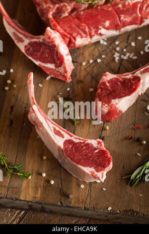 Organic Raw Lamb Chops with Herbs and Spices Stock Photo