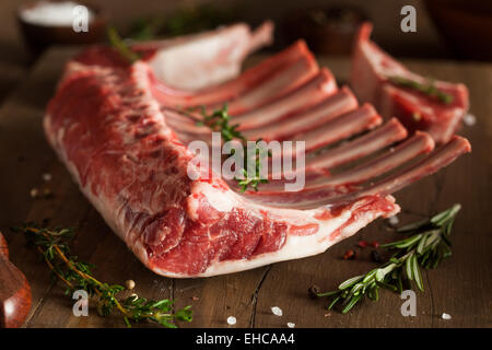 Organic Raw Lamb Chops with Herbs and Spices Stock Photo
