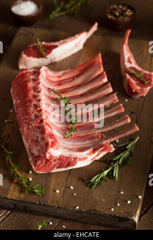 Organic Raw Lamb Chops with Herbs and Spices Stock Photo