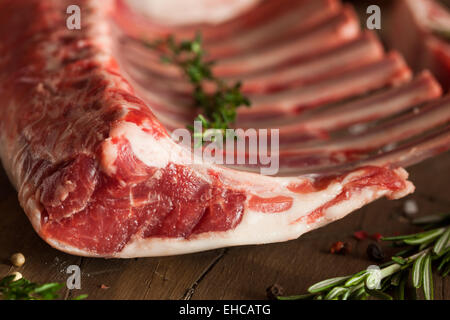 Organic Raw Lamb Chops with Herbs and Spices Stock Photo