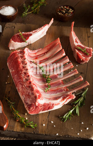 Organic Raw Lamb Chops with Herbs and Spices Stock Photo