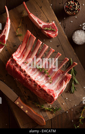 Organic Raw Lamb Chops with Herbs and Spices Stock Photo