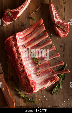 Organic Raw Lamb Chops with Herbs and Spices Stock Photo