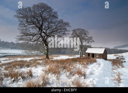 Old Barn in Winter, Near Wildboarclough, Peak District National Park, Cheshire, England, UK Stock Photo