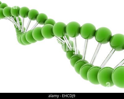 green 3d DNA model on white background. Stock Photo