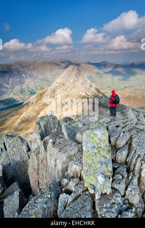 Walker Overlooking Tryfan & The Ogwen Valley from Bristly Ridge, Snowdonia National Park, North Wales, UK Stock Photo