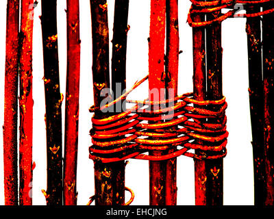 Bound Willow Band main image 1