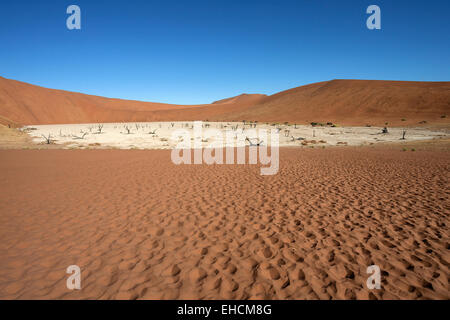 Sand dunes, dead Camel thorn trees (Vachellia erioloba), salt and clay pan, Dead Vlei, Sossusvlei, Namib Desert Stock Photo