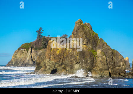 Sea stacks at Ruby Beach, Washington Stock Photo