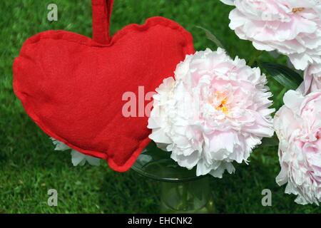 Pfingstrose mit rotem Herz, Peony with heart