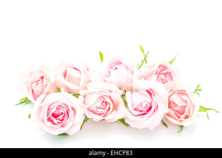 Beautiful pink rose flower, isolated on white background Stock Photo