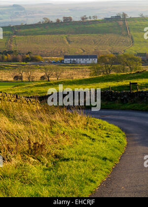 Winding country road near Twice Brewed close to Hadrian's Wall in the Northumberland National Park north east England UK Stock Photo