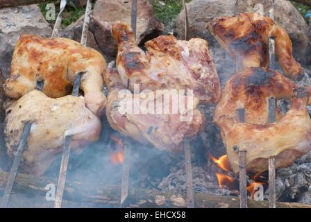 Appetizing grilled chiken kebab on metal skewers Stock Photo